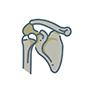 shoulder arthroplasty Icon