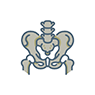 hip arthroplasty Icon