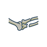 Orthopaedic trauma and injury icon
