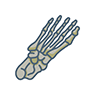 foot and ankle surgery Icon