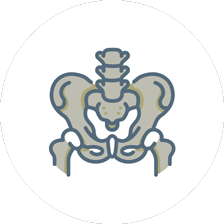 hip arthroplasty Icon
