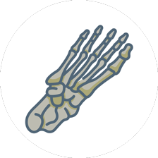 foot and ankle surgery Icon
